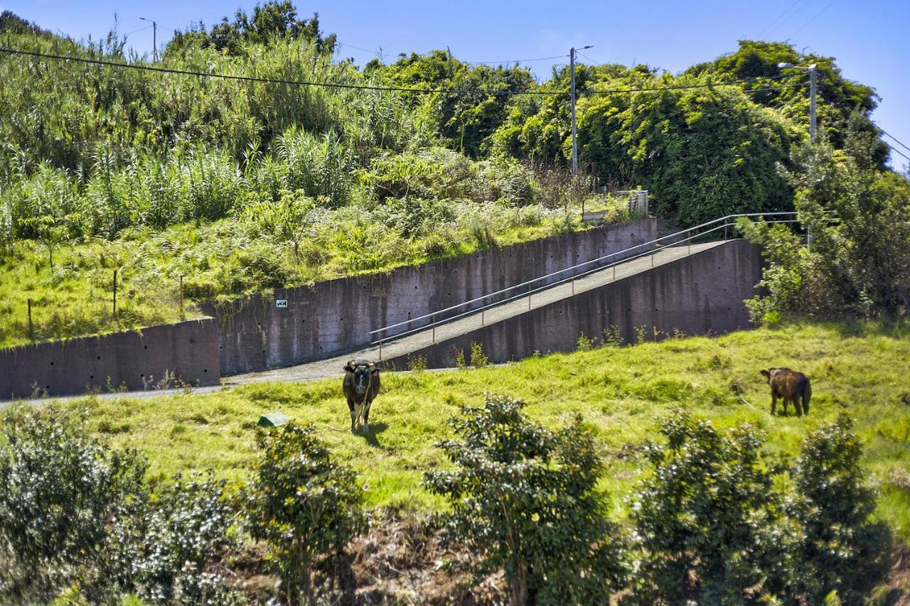 Casa Afonso Na Madeira Villa São Jorge Esterno foto